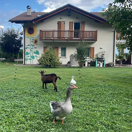 Agriturismo Girasole Fai della Paganella Exteriör bild